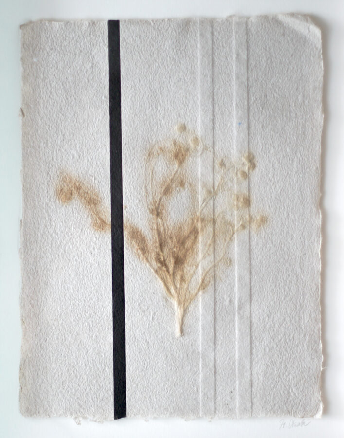 ラマッラから毎朝検問所を通りオールドシティに来て石畳の上に座り観光客に自家製のカモミールを売る女性