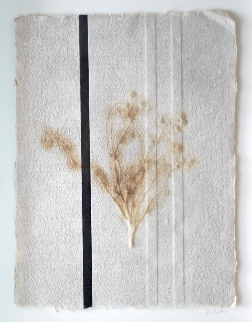 ラマッラから毎朝検問所を通りオールドシティに来て石畳の上に座り観光客に自家製のカモミールを売る女性