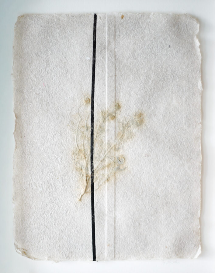 ラマッラから毎朝検問所を通りオールドシティに来て石畳の上に座り観光客に自家製のカモミールを売る女性