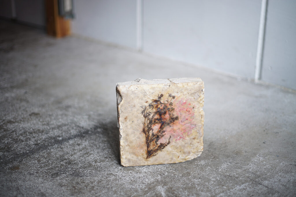 ラマッラから毎朝検問所を通りオールドシティに来て石畳の上に座り観光客に自家製のカモミールを売る女性