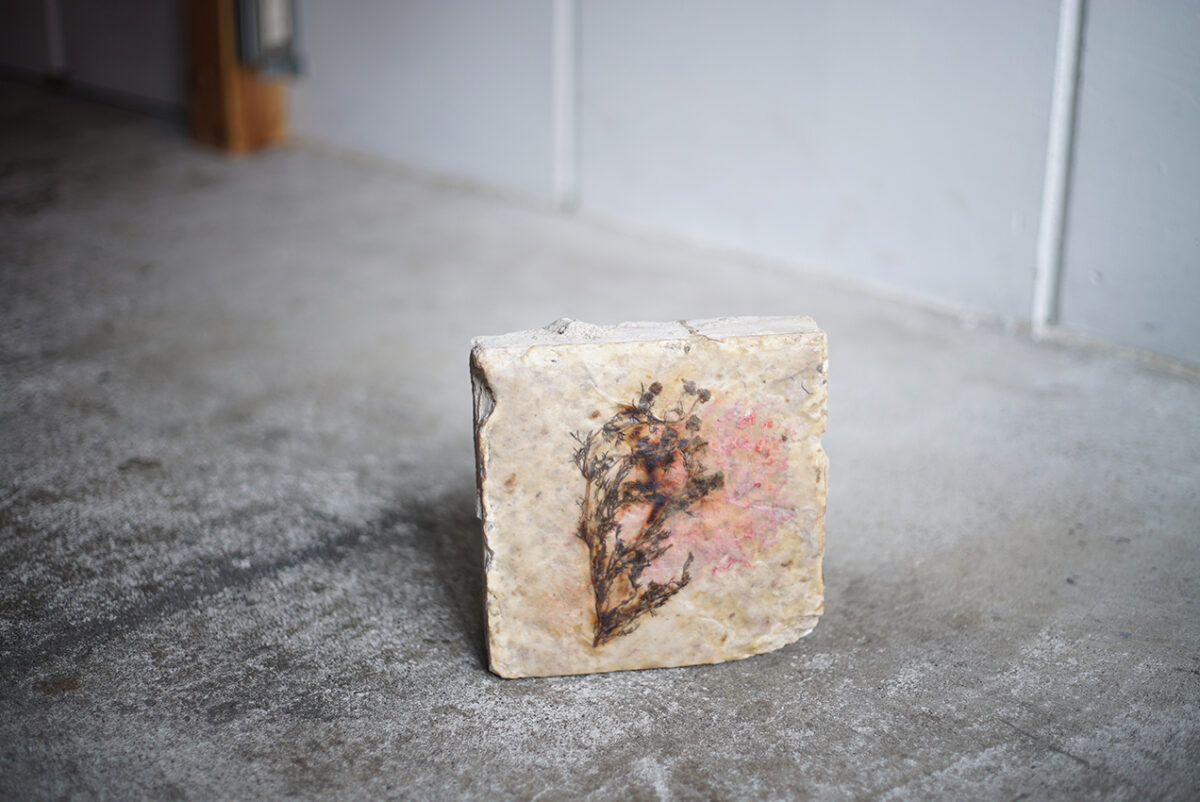 ラマッラから毎朝検問所を通りオールドシティに来て石畳の上に座り観光客に自家製のカモミールを売る女性