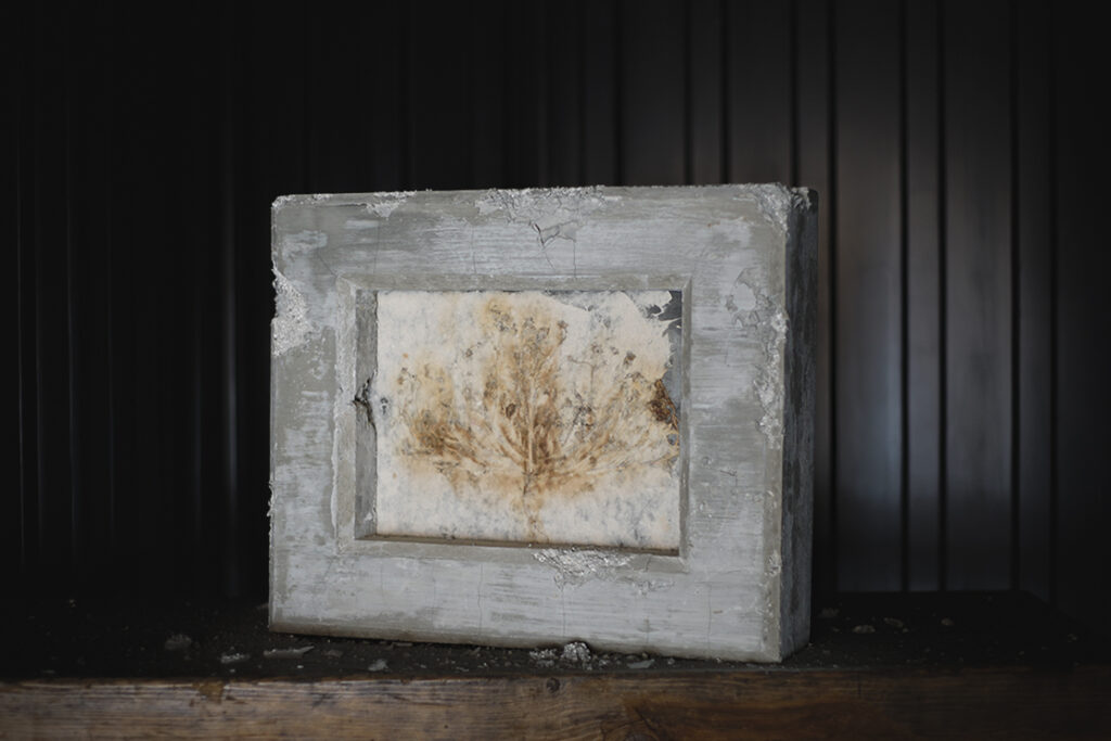 ラマッラから毎朝検問所を通りオールドシティに来て石畳の上に座り観光客に自家製のカモミールを売る女性