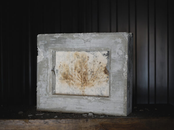 ラマッラから毎朝検問所を通りオールドシティに来て石畳の上に座り観光客に自家製のカモミールを売る女性