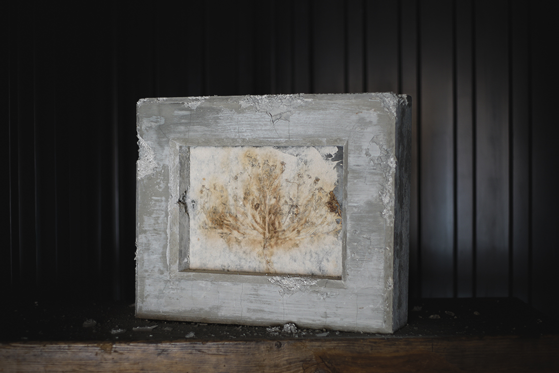 ラマッラから毎朝検問所を通りオールドシティに来て石畳の上に座り観光客に自家製のカモミールを売る女性