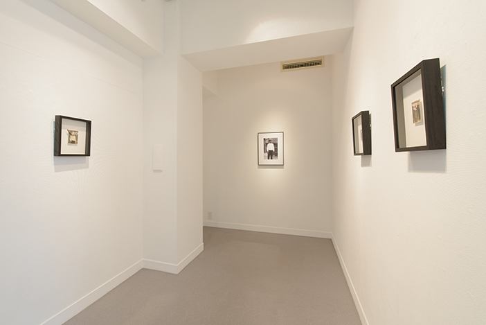 サクラ、サクラ、サクラ、