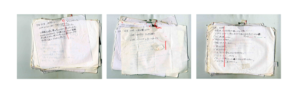 渡れるかもしれない橋