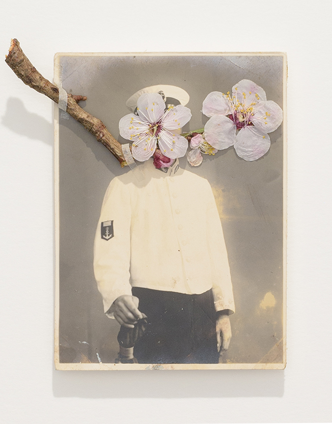 サクラ、サクラ、サクラ、