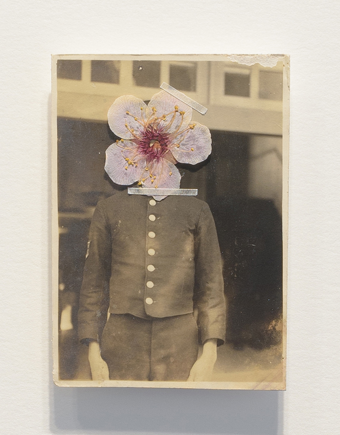 サクラ、サクラ、サクラ、