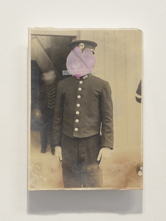 サクラ、サクラ、サクラ、